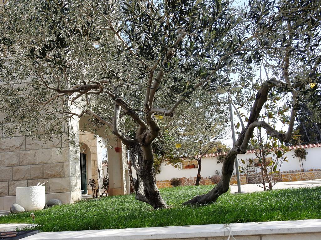 סומרטין Apartments Villa Barbara מראה חיצוני תמונה